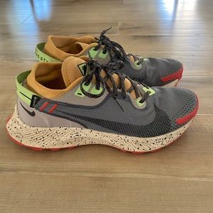 Nike Trail Pegasus GTX